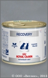 ���� ����� ����� ��� ����� � ����� � ������ ������������� (Veterinary Diet Recovery ), ����� 195 �
