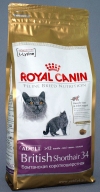 ���� ����� ���� ��� ���������� ��������������� ������ 12 ������� (459040/6440 British Shorthair 34), ��. 4 ��