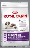 ���� ����� ��� ������ ����� ������� ����� �� 2 �������, ���������� � �������� ��� (Royal Canin Giant Starter), ��. 1 ��