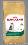 ���� ����� ���� ��� ����� ���� ����� �� 3 �� 15 ������� (499805 Kitten Maine Coon 36), ��. 400 �