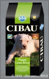����� ����� ����� (Cibau Puppy Large Breed) ���� � ������� ��� ������ ������� �����, ��. 3 ��