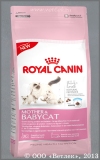 ���� ����� ��� ����� �� 1 �� 4 ������� (Royal Canin Mother & Babycat 34), ��. 4 ��