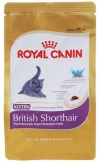 ���� ����� ���� ��� ����� ���������� ��������������� (Kitten British Shorthair 541004), ��. 400 �